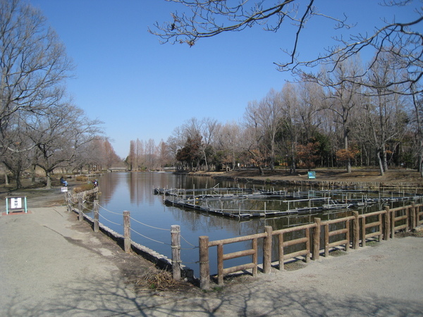 サザンクロス(上尾丸山公園)