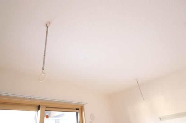 パティオ　ロサ