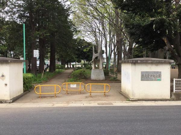 エコーハイツ(東大宮中央公園)