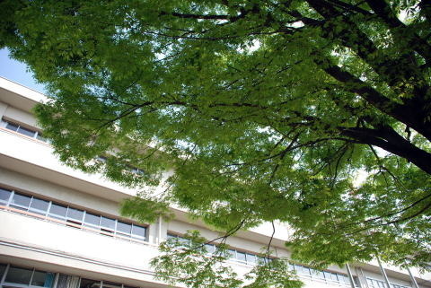 桶川東店舗(桶川市立桶川東中学校)