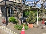 アムール・ヴィラ(わたなべ歯科医院)