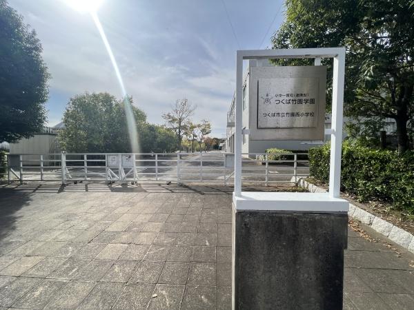 ピネイロス(つくば市立竹園西小学校)