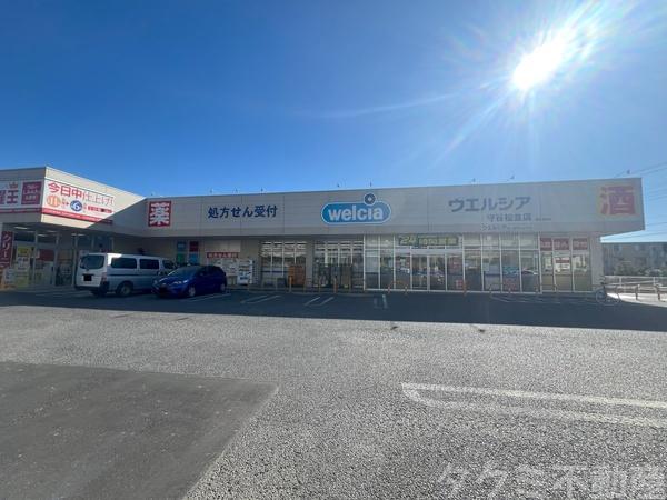 レクセルプラザ守谷(ウエルシア守谷松並店)