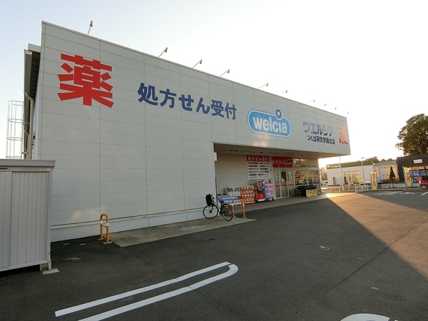 つくば市東光台3丁目のマンション(ウエルシアつくば研究学園北店)