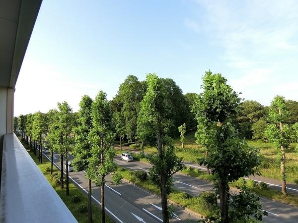 つくば市二の宮４丁目のアパート