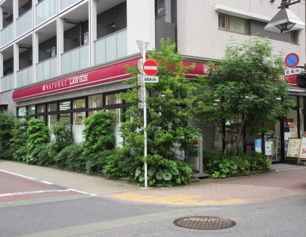 田町サンハイツ(ナチュナルローソン　港芝浦三丁目店)