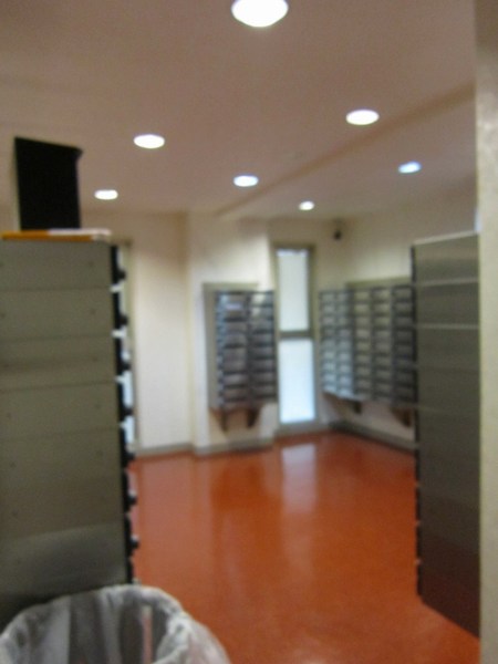 東京ベイビュウ