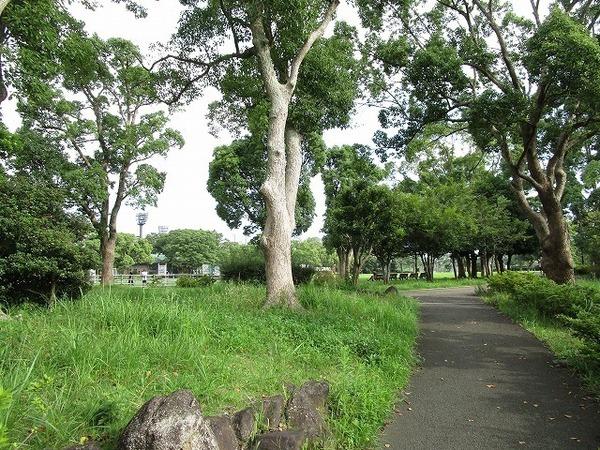 アートビル(金井公園)