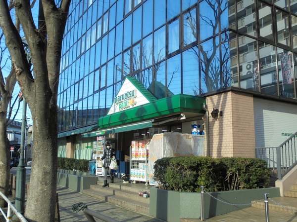ル・リオン品川二葉(マルエツプチ西大井駅前店)
