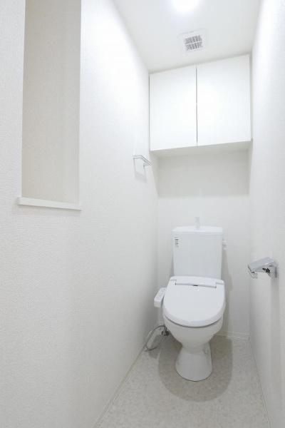 ＰＲＥＭＩＵＭ　ＣＵＢＥ都立大学#mo