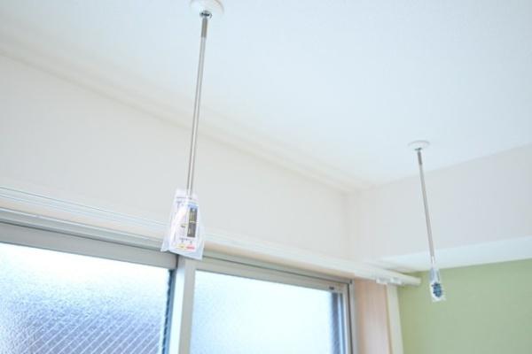 レクス大崎