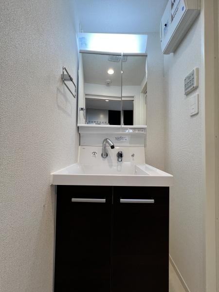 GRANPASEO大森北(洗面台・洗面所)