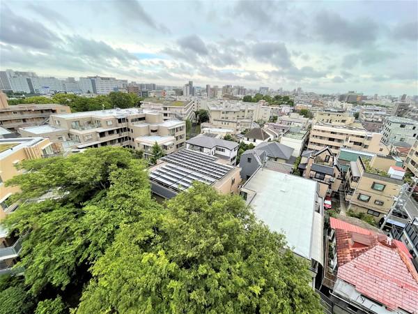 仙台坂アルカディア