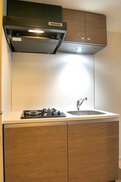 ラフィスタ蒲田南Ⅱ