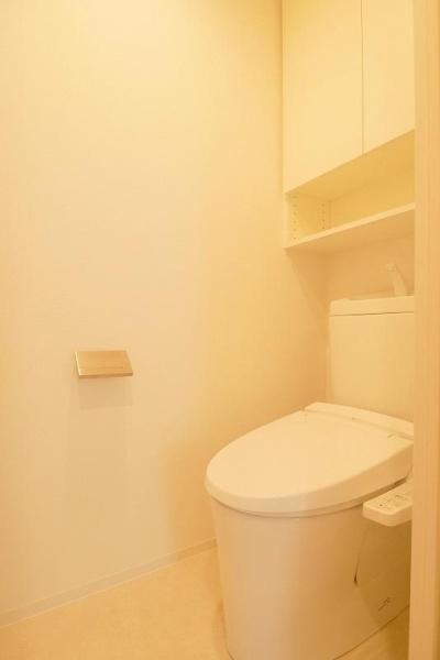 THE　PREMIUM　CUBE　G大崎