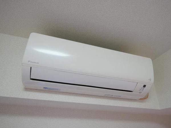 ＰＲＥＭＩＵＭ　ＣＵＢＥ都立大学#mo