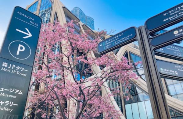 マスターマインド十番(麻布台ヒルズガーデンプラザ)