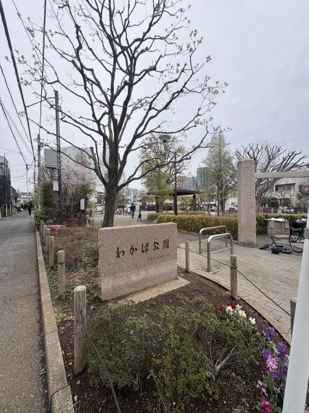 サングレース