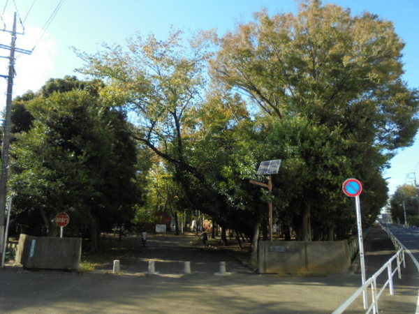 ALTERNA祐天寺(世田谷公園)