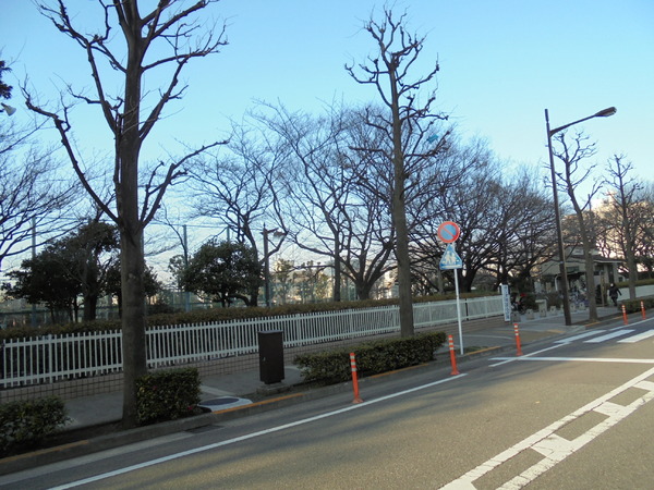 グランデューク西大井(西大井広場公園)