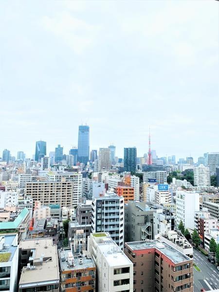 白金ザ・スカイ東棟