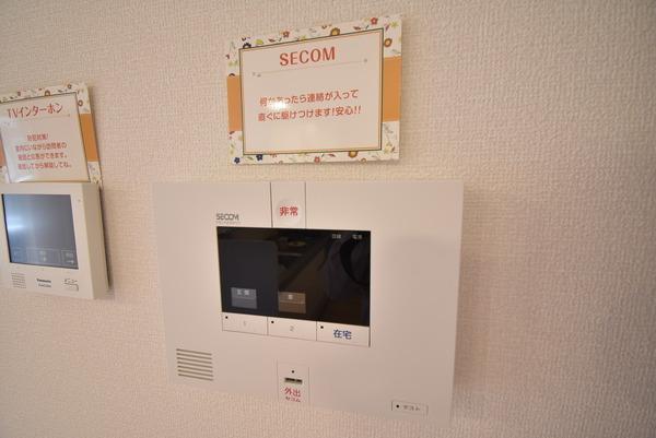 アルタ青地ビュー