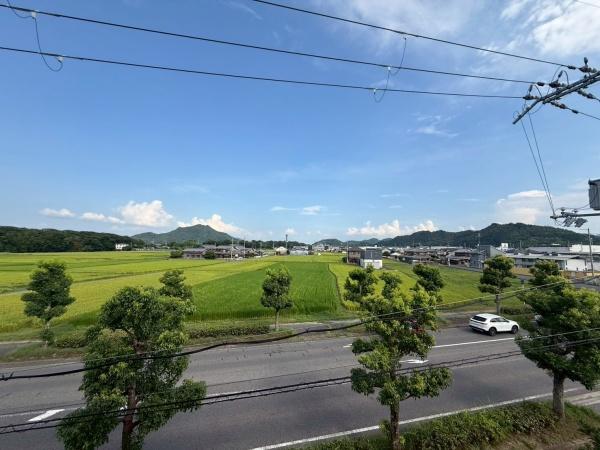 ドミール高野