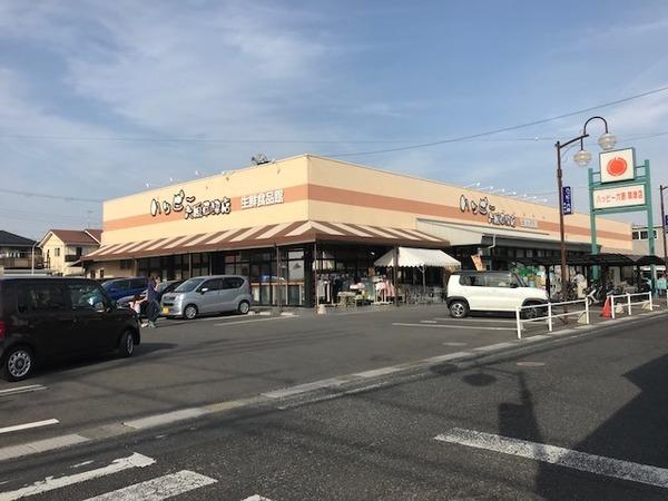 グレースほしかA棟(ハッピー六原草津店)