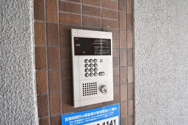 ジュネス藤