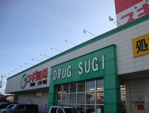 立入町倉庫付き借地(スギ薬局守山店)