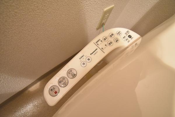 サンクフルネス