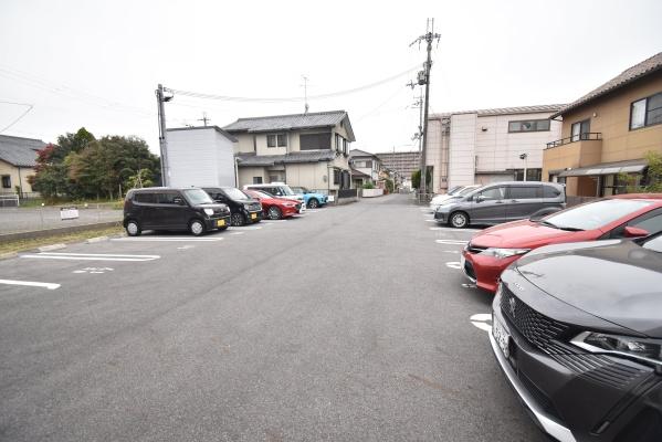 アルタ青地ビュー