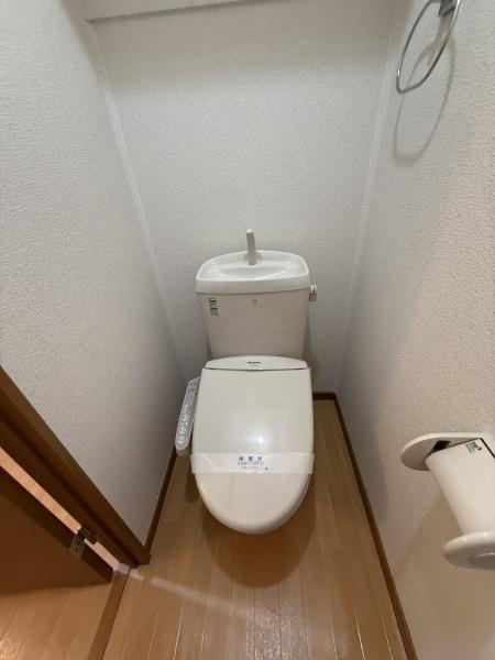 ミオアンジェラ