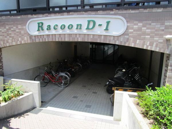 Racoon　D1
