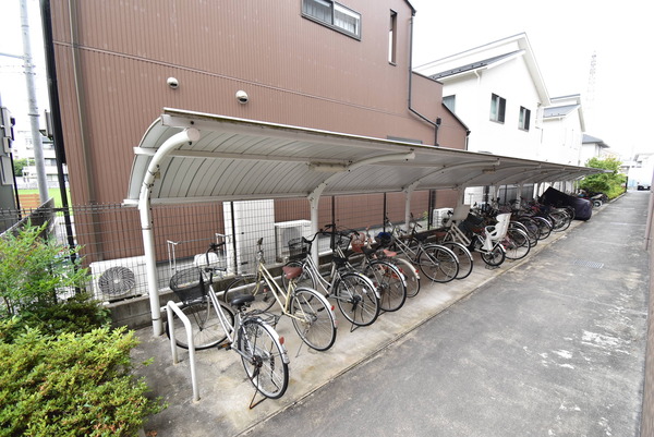 ダンデライオン