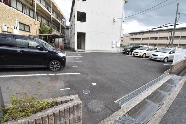 カームコトブキ