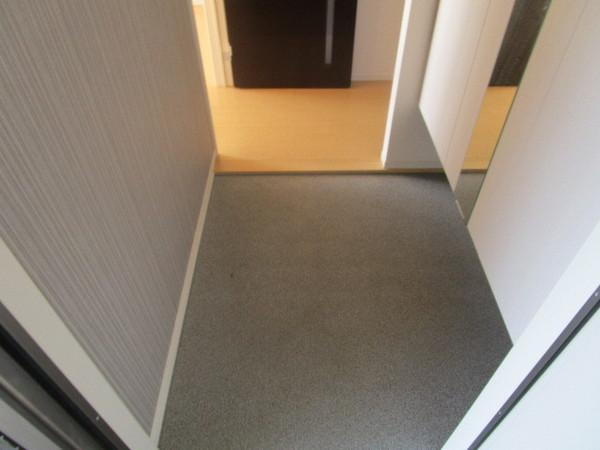 グランシャリオ(玄関)