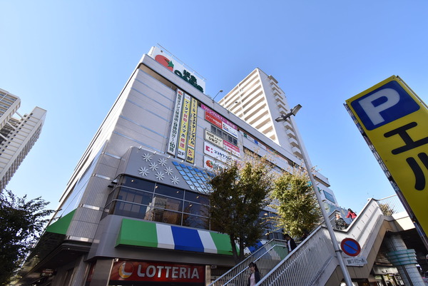 FORESTCOURT(エルティ932)