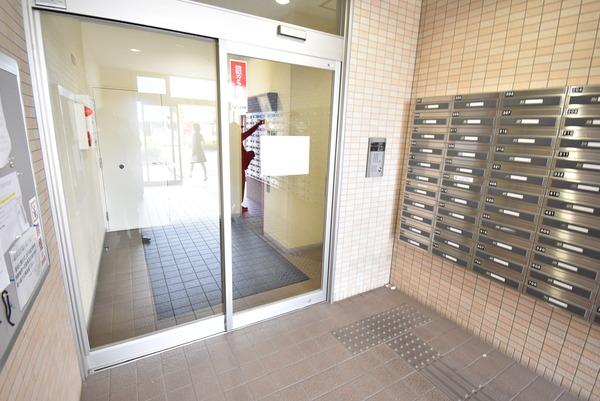 ベルヴィオウミ