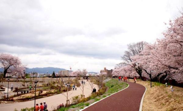 アラモード(de愛ひろば)