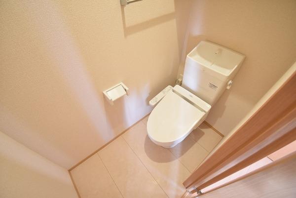 サニーコートアレックス