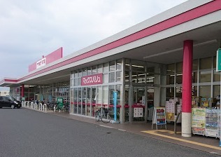 D-ROOM平井C棟(マックスバリュ駒井沢店)