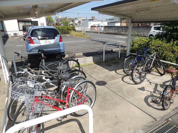 クレストコート