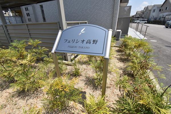 フェリシオ高野