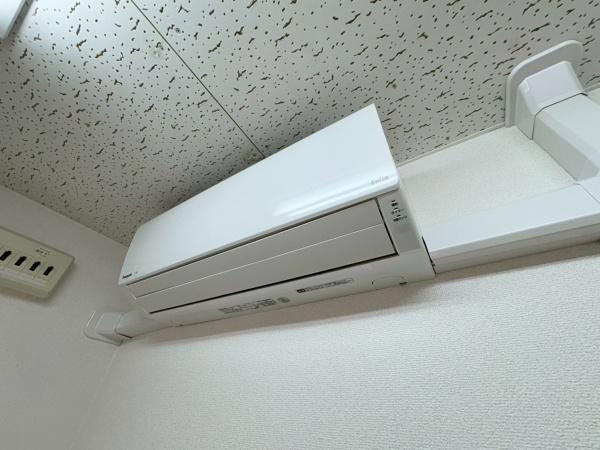 ドエルコトブキ