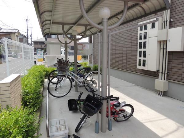 プラシード　コルソ