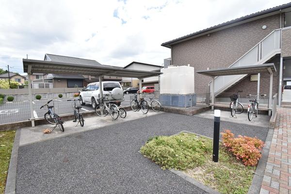 ベアグラス