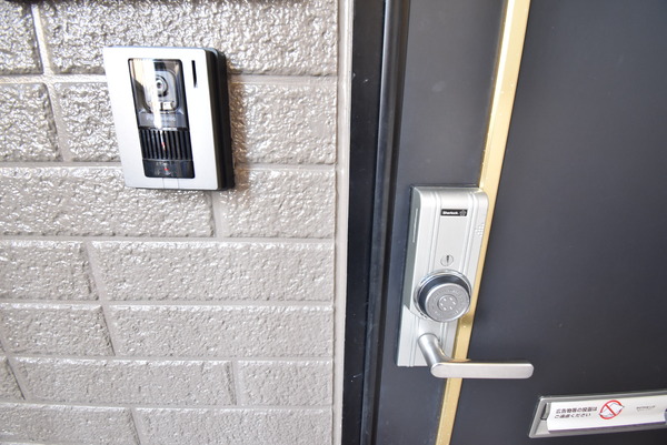 グリーンアベニューA