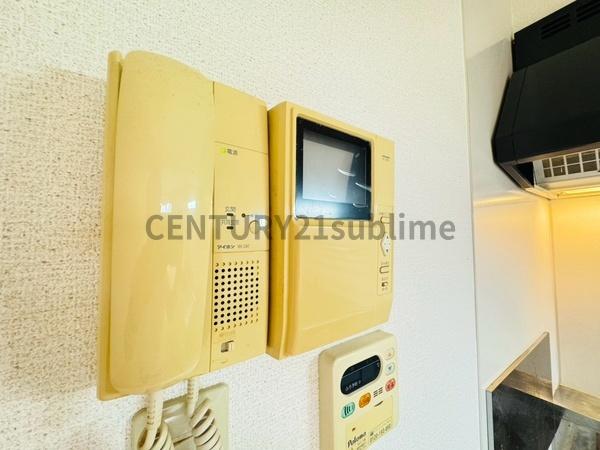 テネレッツア