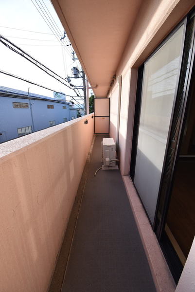 FREDDY